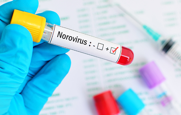 Norovirus Cleanup Germ Control Services