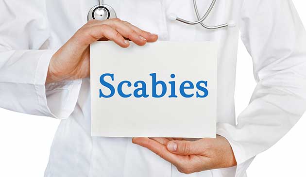 Scabies Cleanup Germ Control Services